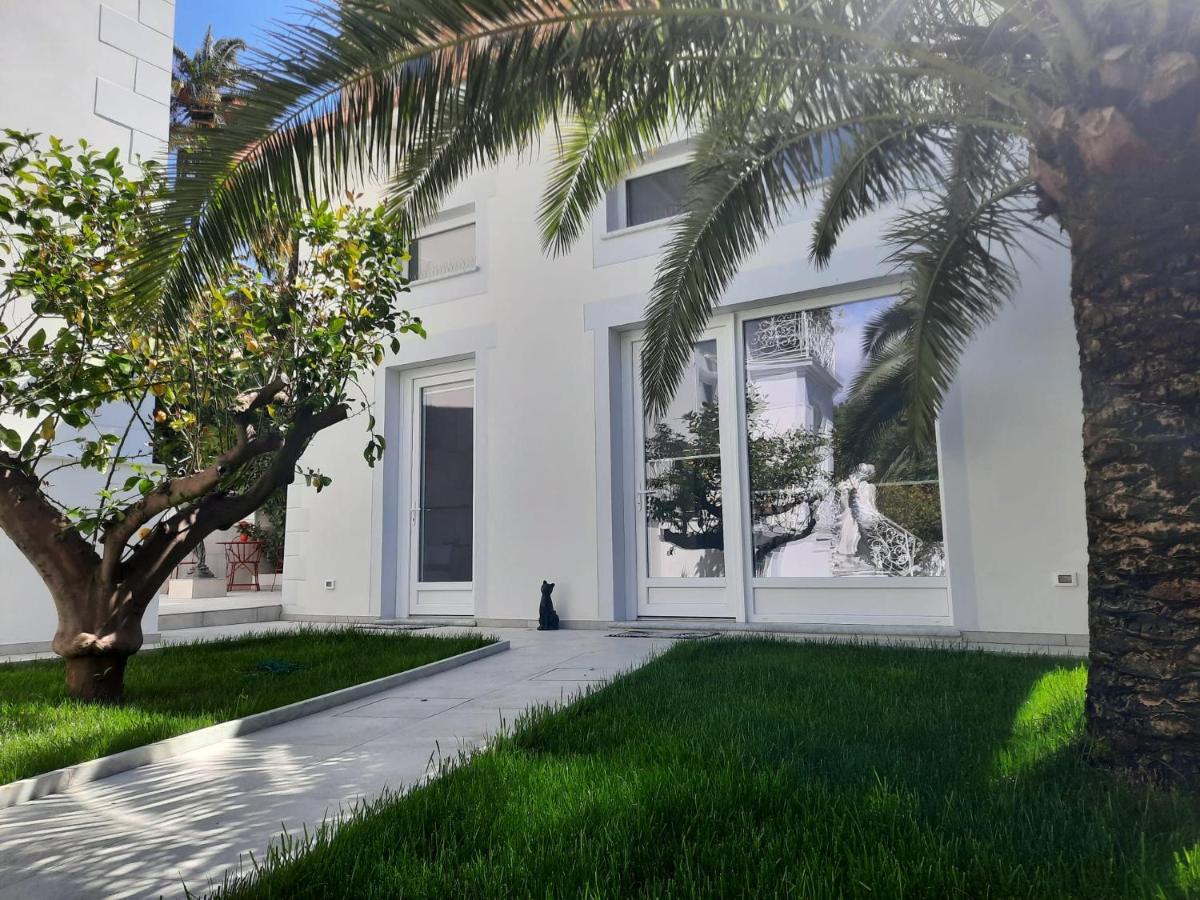 Palms Luxury