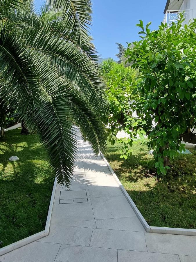 Palms Luxury Guest house Sanremo